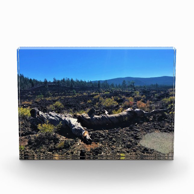 Bloque Para Fotos Bosque de cuenca de lava, O (Anverso)