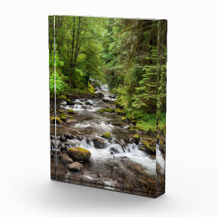 Bloque Para Fotos Bosque Nacional Siuslaw Sweet Creek