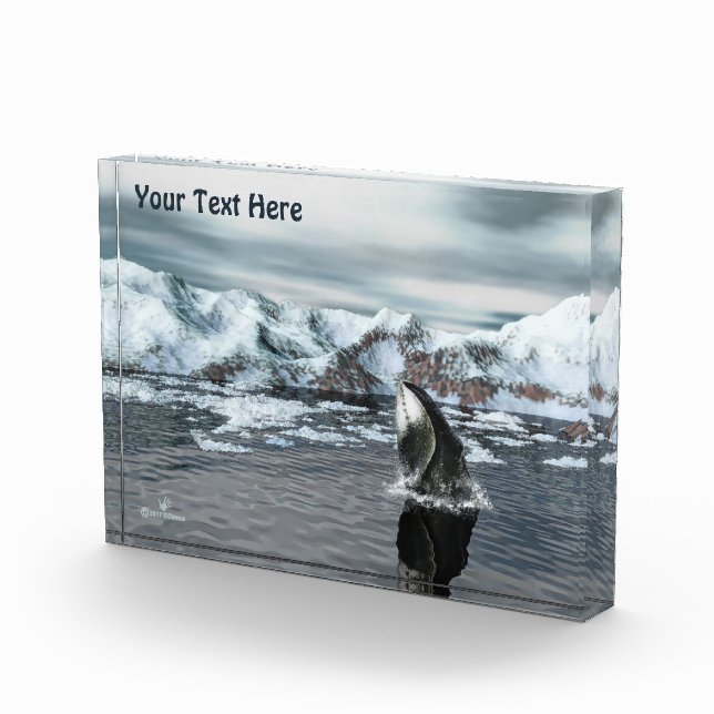 Bloque Para Fotos Bowhead Whale (Derecha)