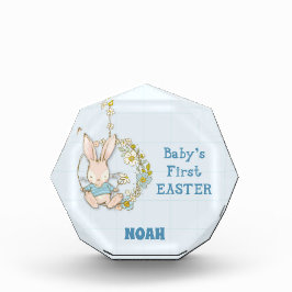 Bloque Para Fotos Boy First Easter Bunny on Flower Swing