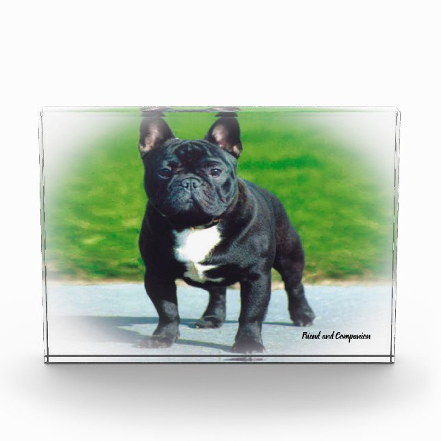 Bloque Para Fotos Bulldog Francés. (Anverso)