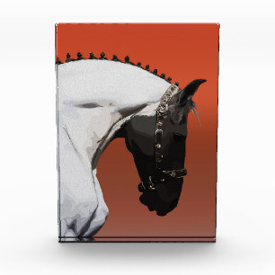 Bloque Para Fotos Caballo Andaluz Elegante – Majestuoso Arte Ecuestr