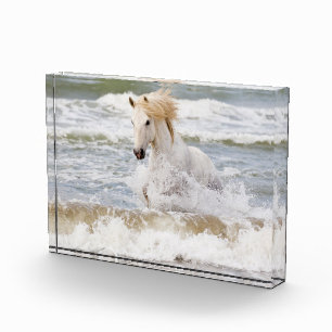 Bloque Para Fotos Caballo Camargue en el oleaje