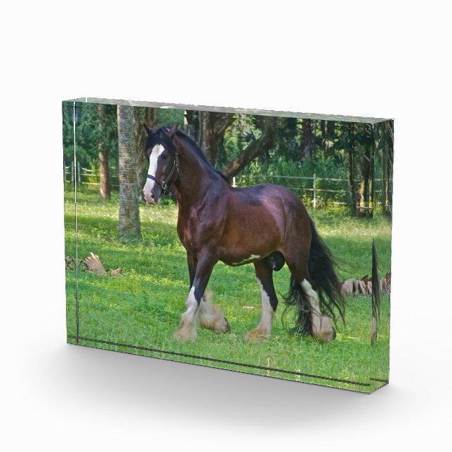 Bloque Para Fotos Caballo Clydesdale (Derecha)