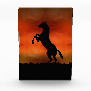 Bloque Para Fotos Caballo Libre Al Atardecer