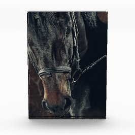 Bloque Para Fotos Caballo negro
