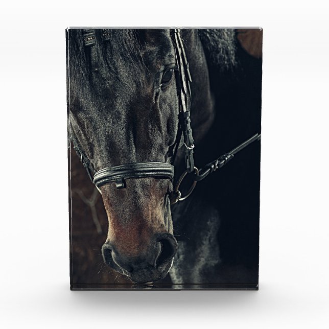 Bloque Para Fotos Caballo negro (Anverso)