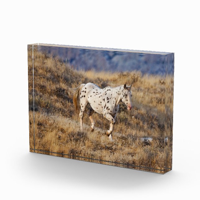 Bloque Para Fotos Caballo recorriendo las colinas del Cuerno Grande (Derecha)