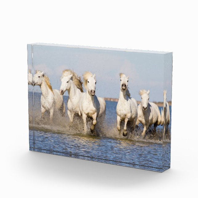 Bloque Para Fotos Caballos de Camargue (Derecha)