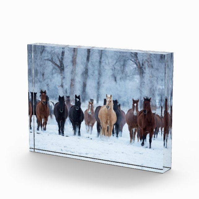 Bloque Para Fotos Caballos en el Frío (Derecha)
