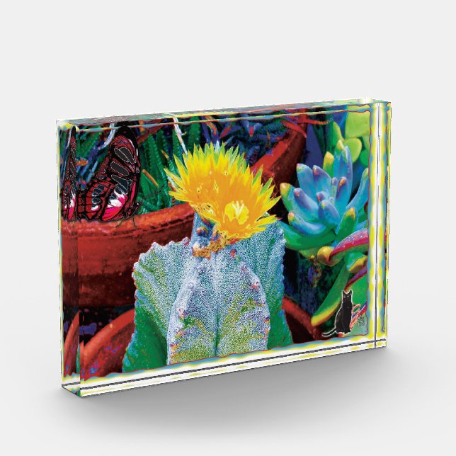 Bloque Para Fotos Cactus Caliente (Izquierda)