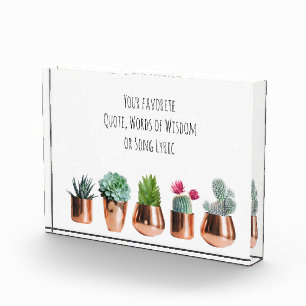Bloque Para Fotos Cactus suculta tu cita favorita, canción lírica