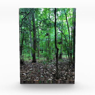 Bloque Para Fotos Caminando por el bosque, Chester, Carolina del Sur