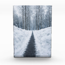 Bloque Para Fotos Camino de bosque invernal brumoso Póster de paisaj