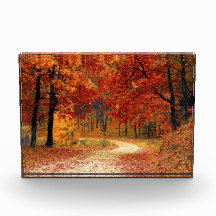 Camino otoñal a través de los árboles