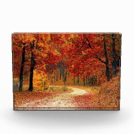 Bloque Para Fotos Camino otoñal a través de los árboles