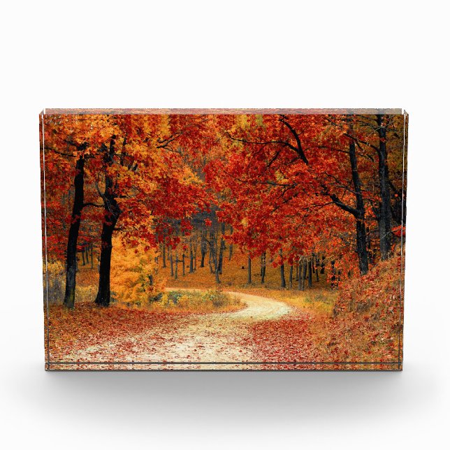 Bloque Para Fotos Camino otoñal a través de los árboles (Anverso)