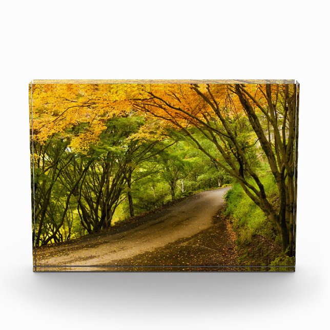 Bloque Para Fotos Camino rural en otoño (Anverso)