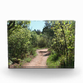 Bloque Para Fotos Camino Verde