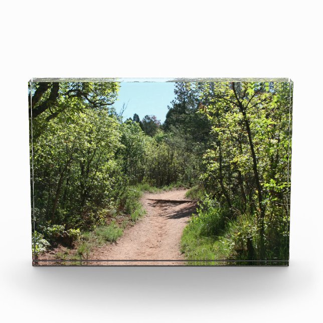 Bloque Para Fotos Camino Verde (Anverso)