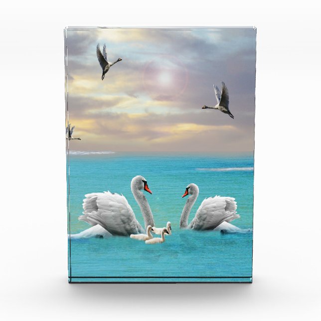 Bloque Para Fotos Canción Del Cisne Blanco, (Anverso)