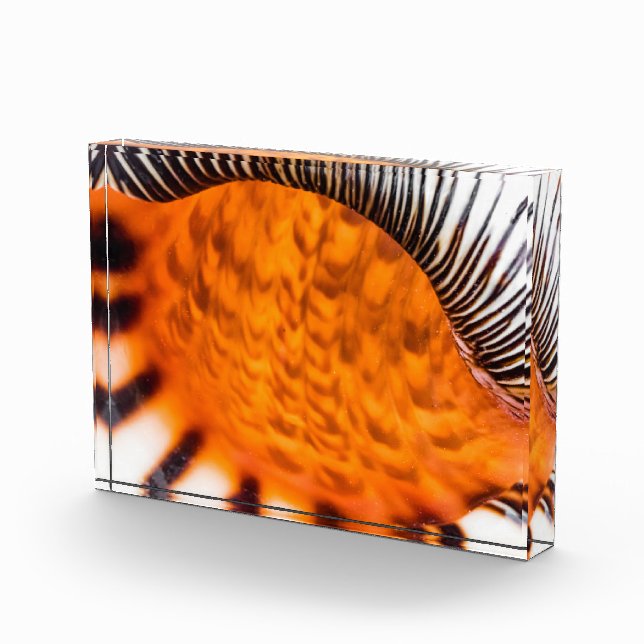 Bloque Para Fotos Capa de agua de mar (Derecha)