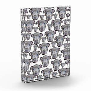 Bloque Para Fotos Caras de cachorro Staffordshire Bull Terrier