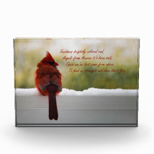 Bloque Para Fotos Cardenal con el visitante del poema del cielo