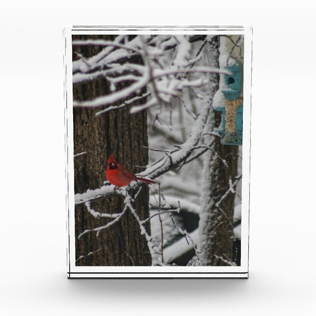 Bloque Para Fotos Cardenal en el bosque Snowy III (Anverso)