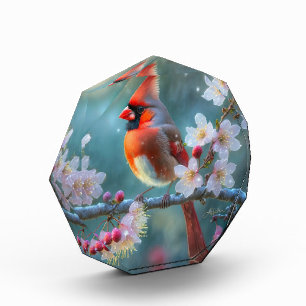Bloque Para Fotos Cardenal masculino en flor de cerezo a la luz de l
