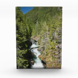 Bloque Para Fotos Cascada en el bosque nacional olímpico