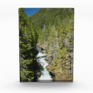 Bloque Para Fotos Cascada en el bosque nacional olímpico