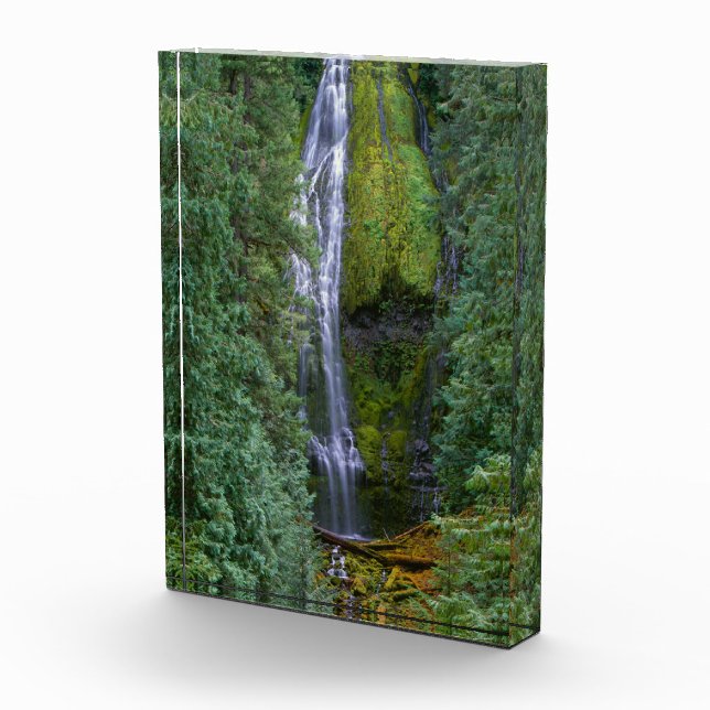 Bloque Para Fotos Cascada Lower Proxy | Bosque Nacional Willamette (Derecha)