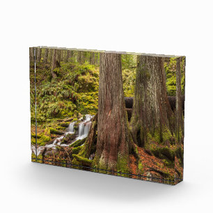 Bloque Para Fotos Cascada White Branch, Oregon Cascades, Oregon