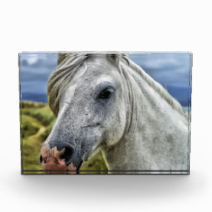 Bloque Para Fotos Cercanía gris/caballo blanco
