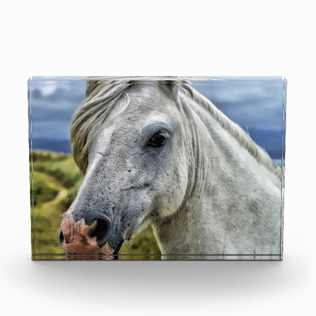 Bloque Para Fotos Cercanía gris/caballo blanco (Anverso)