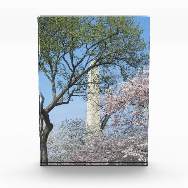 Bloque Para Fotos Cherry Blossoms and the Washington Monument (Anverso)