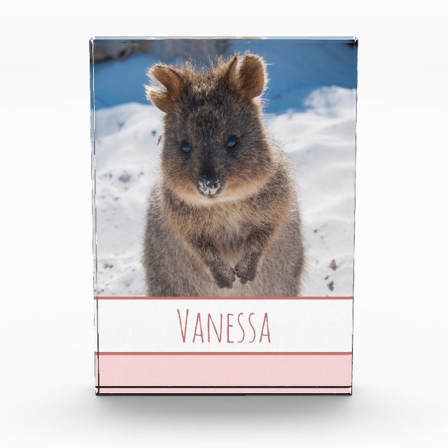 Bloque Para Fotos Chicas rosados personalizan Quokka en la playa (Anverso)