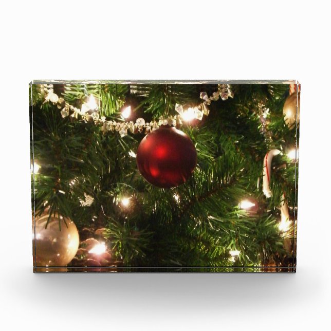 Bloque Para Fotos Christmas Tree I Holiday Pretty Green and Red (Anverso)