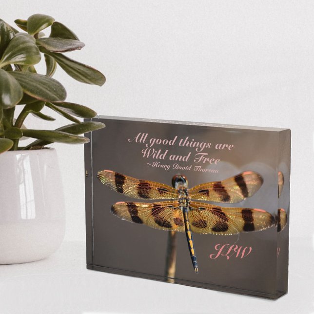Bloque Para Fotos Cita salvaje y gratuita Dragonfly dorado (Subido por el creador)