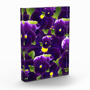 Bloque Para Fotos Clusters de Pansy Púrpura Profundo: Belleza Majest