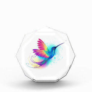 Bloque Para Fotos Colibrí arcoiris exótica
