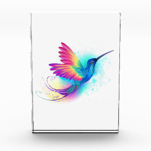 Bloque Para Fotos Colibrí arcoiris exótica