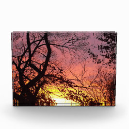 Bloque Para Fotos Colorida puesta de sol a través de los árboles des