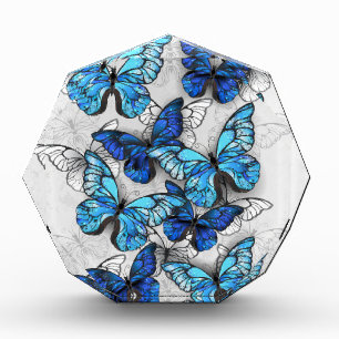 Bloque Para Fotos Composición de las mariposas blancas y azules