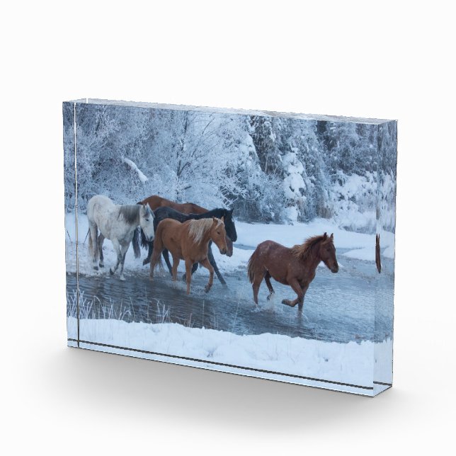 Bloque Para Fotos Conducción de caballos en invierno (Derecha)