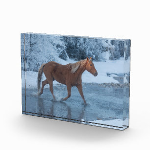 Bloque Para Fotos Conducción de caballos en invierno en Hideout Ranc