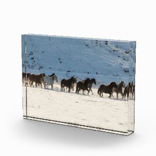 Bloque Para Fotos Conducción de caballos en invierno en Hideout Ranc