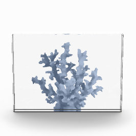 Bloque Para Fotos Coral tropical