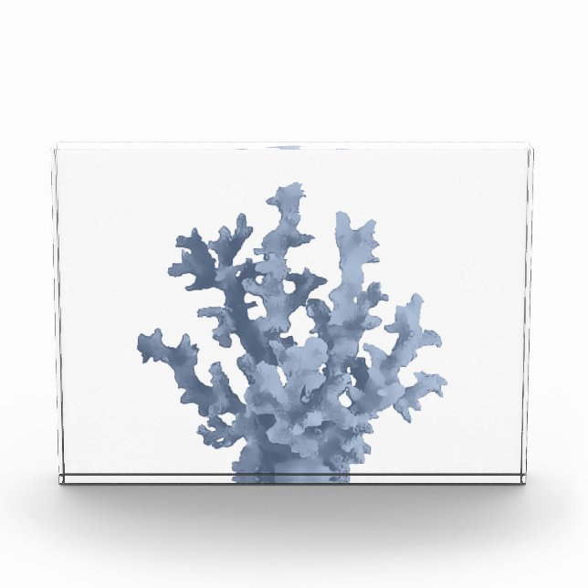 Bloque Para Fotos Coral tropical (Anverso)